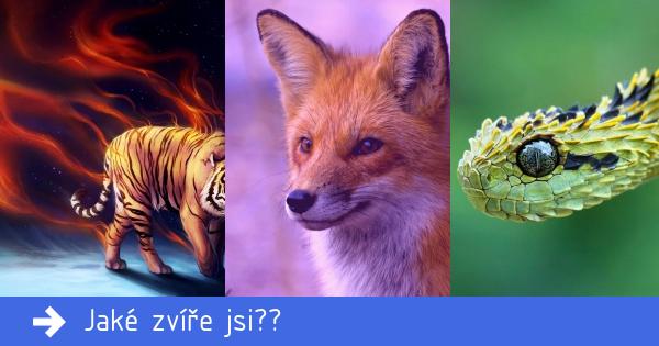 Jaké zvíře jsi?? 